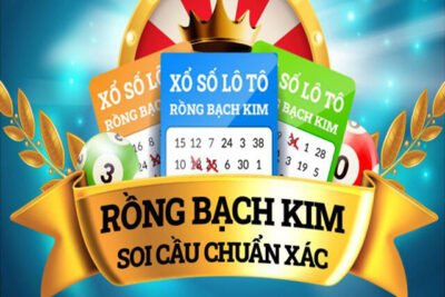 Kinh nghiệm soi cầu rồng bạch kim chuẩn và chính xác nhất